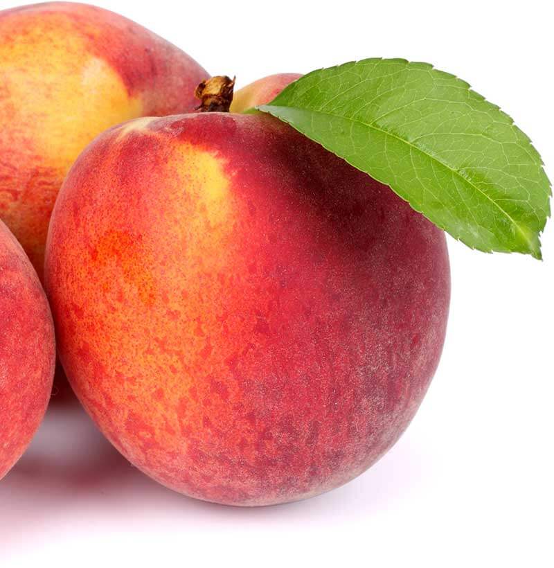Explore our local peach varieties during Peach-O-Rama at Metropolitan Market