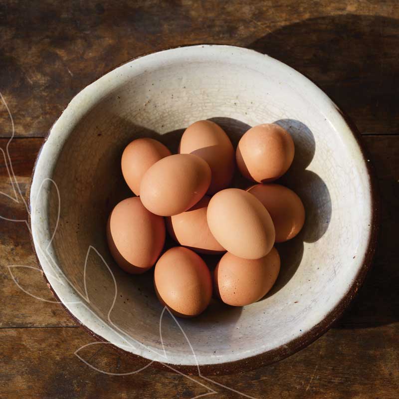 Our organic eggs are raised without antibiotics or added hormones. #BestofMet